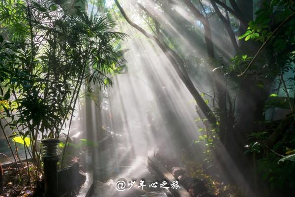 小小棒球赛